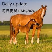 Daily update 每日更新11 May2024